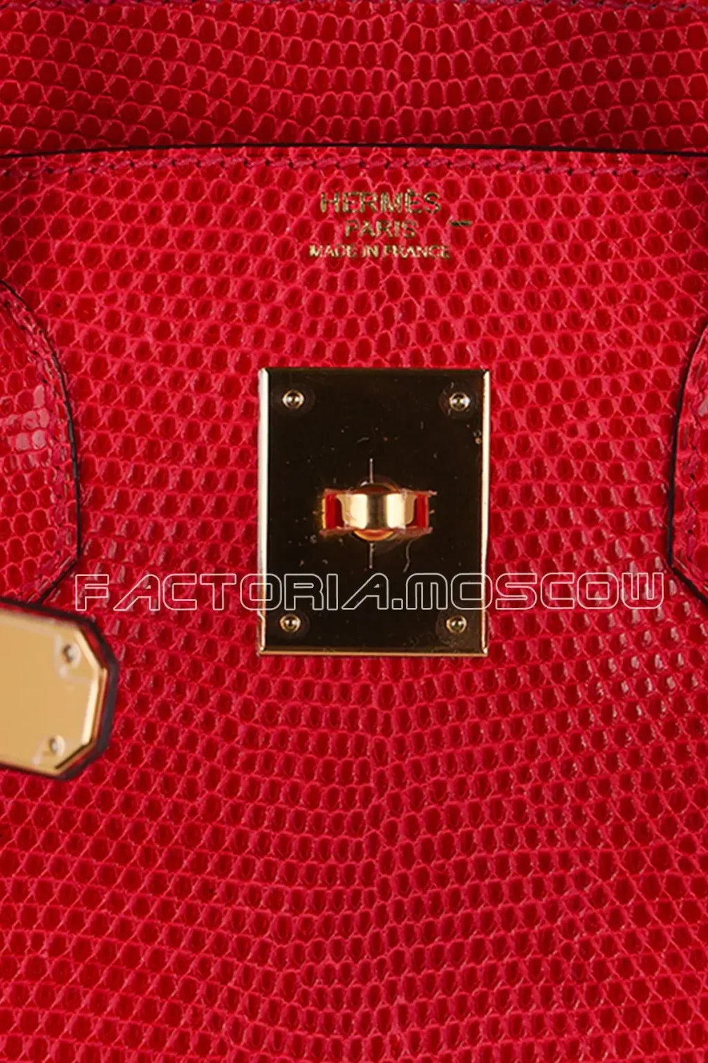 Hermes Birkin 30 Lizard Colour Rouge Casaque GHW