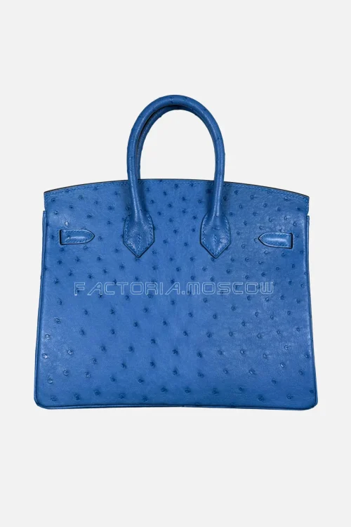 Hermes Birkin 25 Ostrich Colour Blue Zellige Hardware GHW