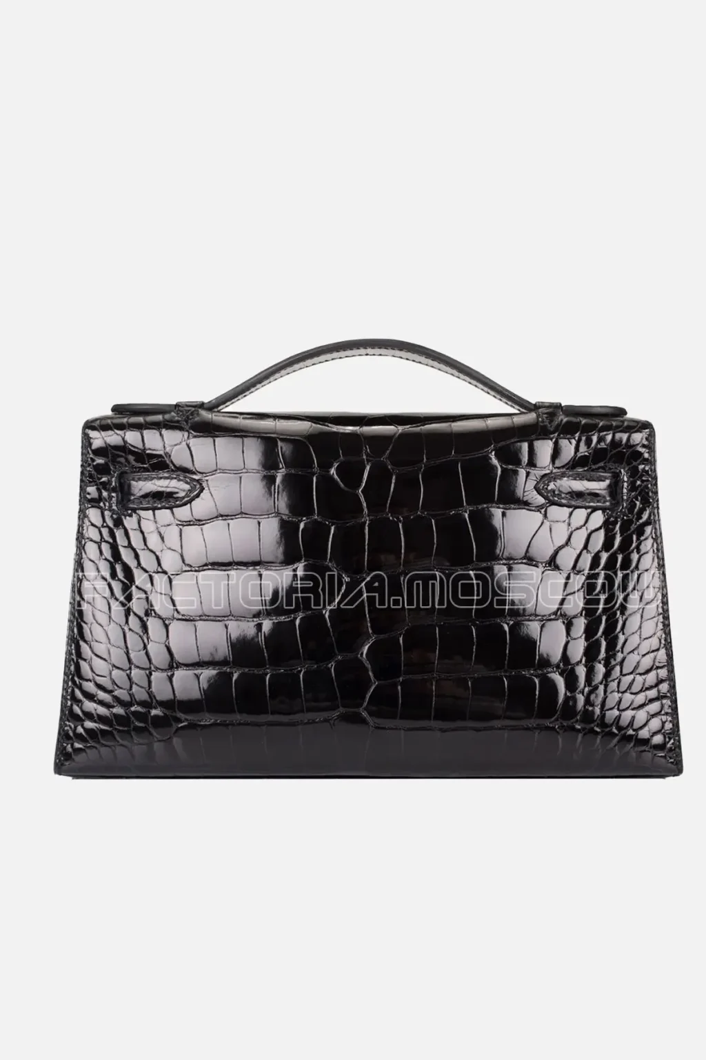 Alligator lisse
