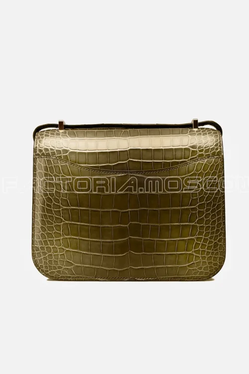 Alligator lisse