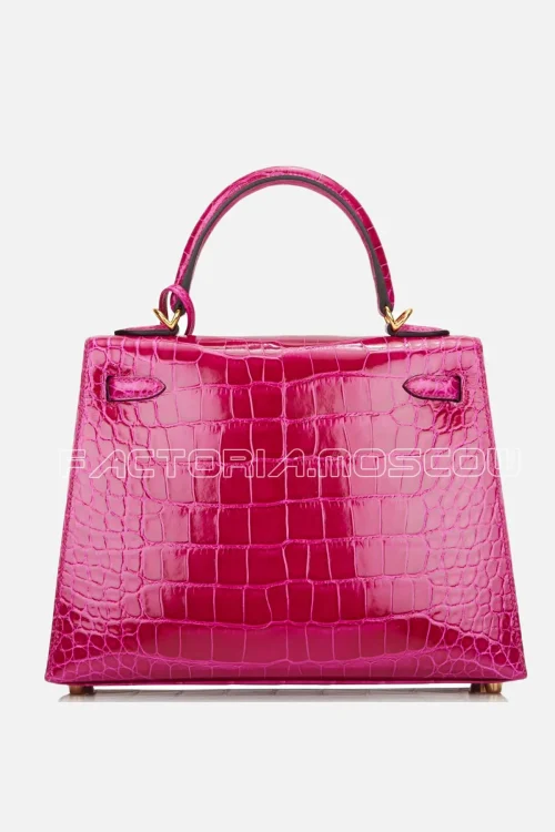 Alligator lisse