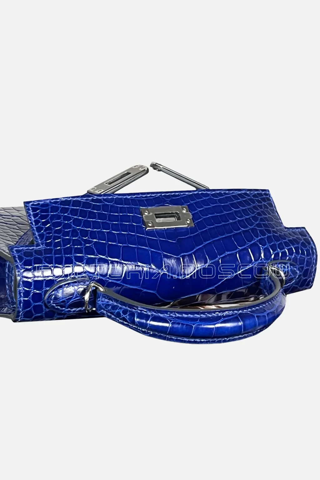 Alligator lisse