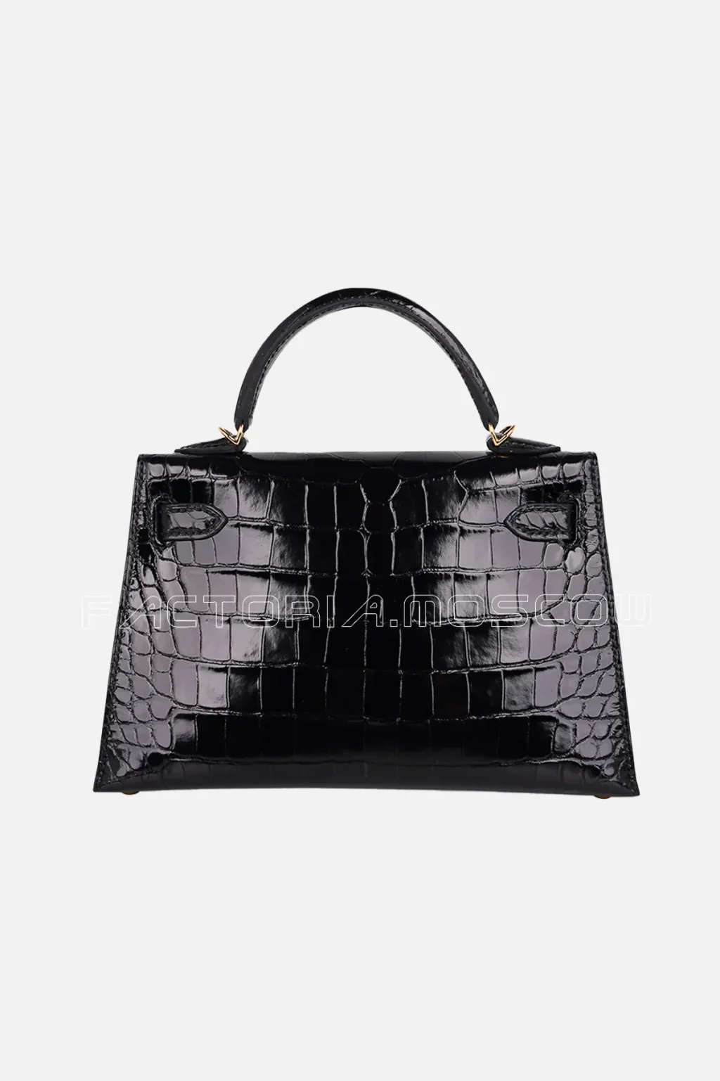 Alligator lisse
