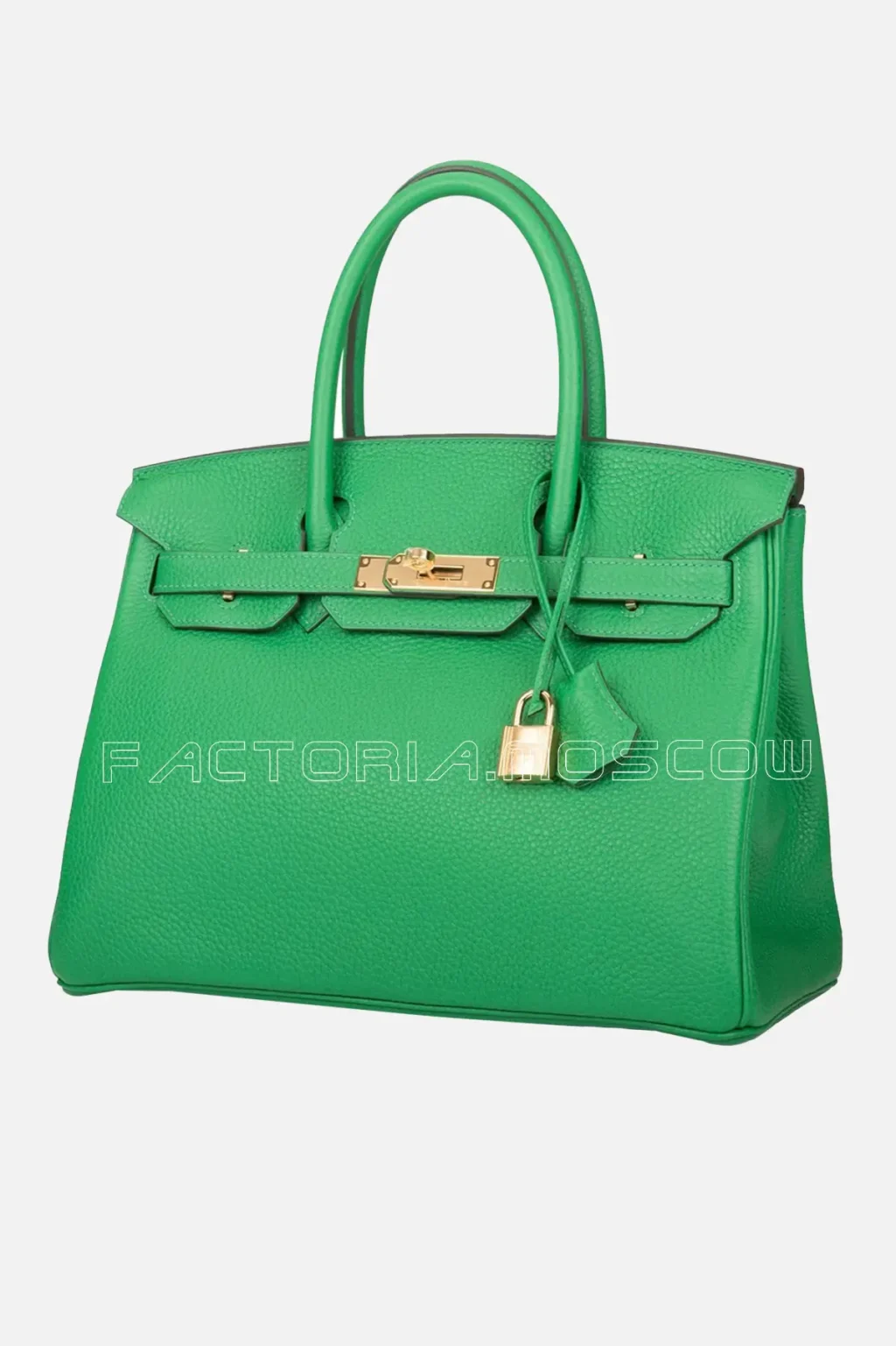 Hermes Bambou Clemence Birkin 30 GHW