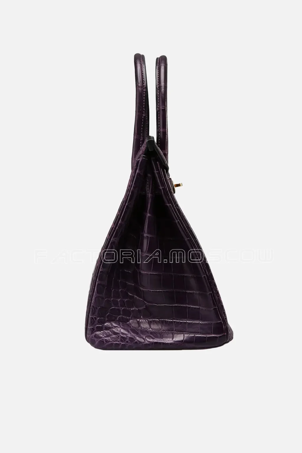 Hermes Birkin 30 Amethyst Niloticus Matte GHW