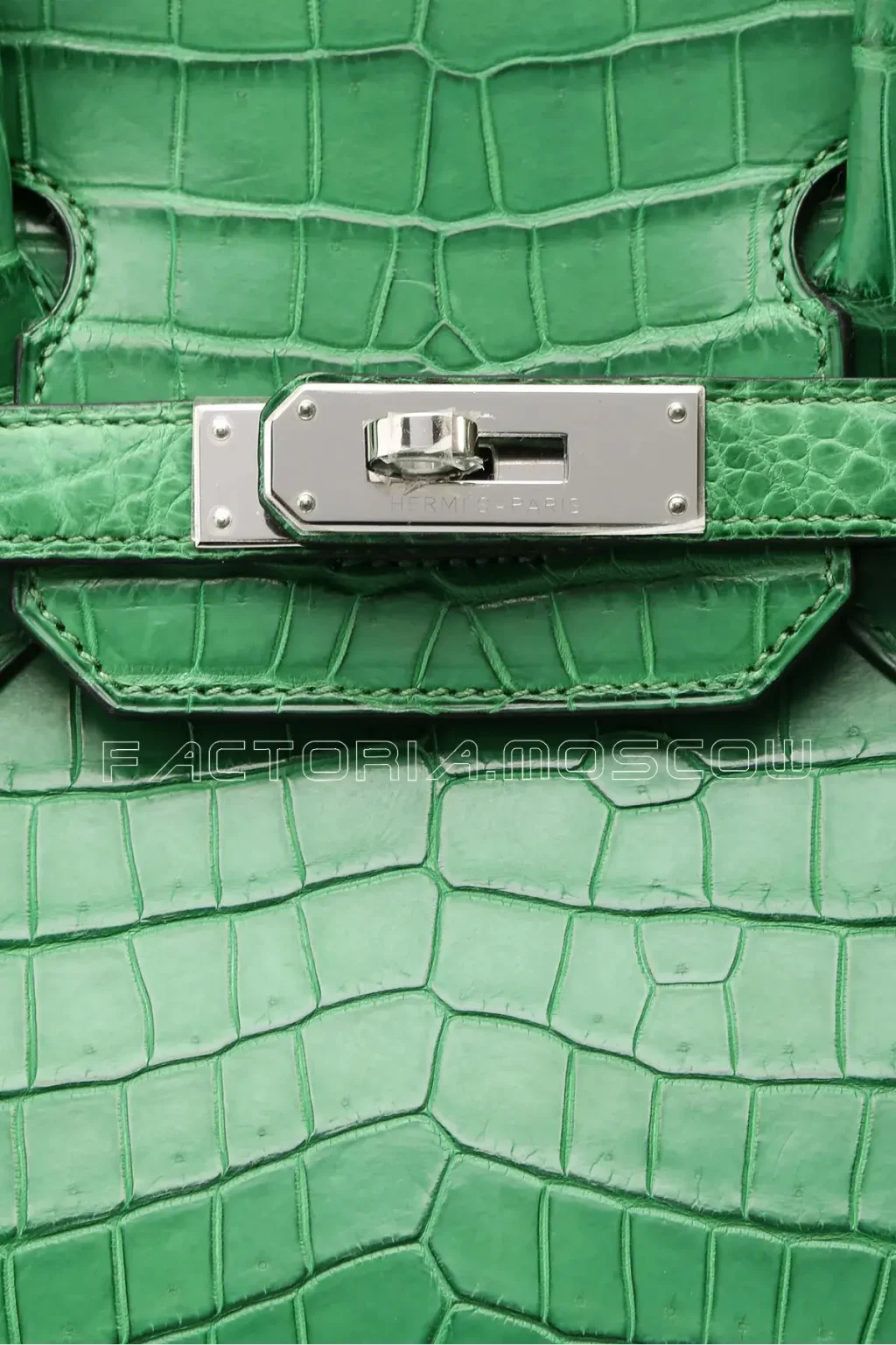 Hermes Birkin 30 Matte Cactus Niloticus PHW