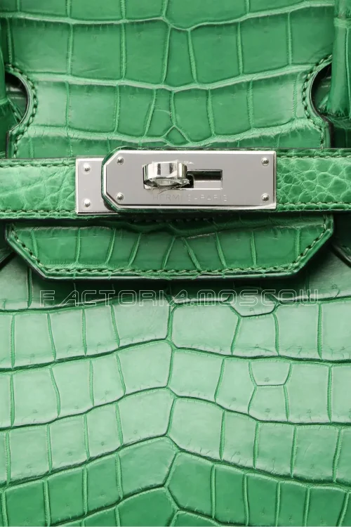 Hermes Birkin 30 Matte Cactus Niloticus PHW