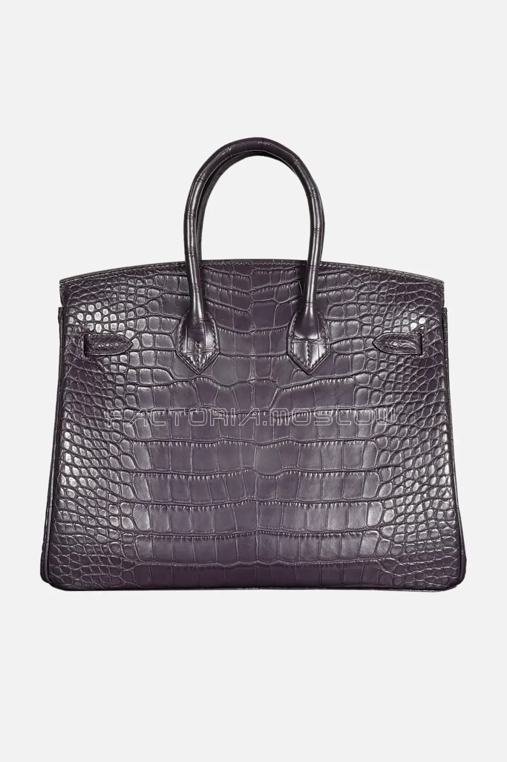 Hermes Birkin 25 Alligator Matte Colour Raisin Hardware PHW