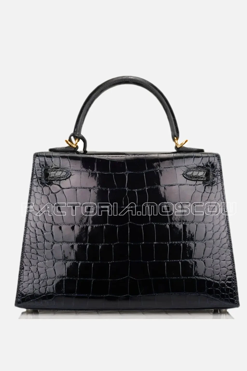 Alligator lisse