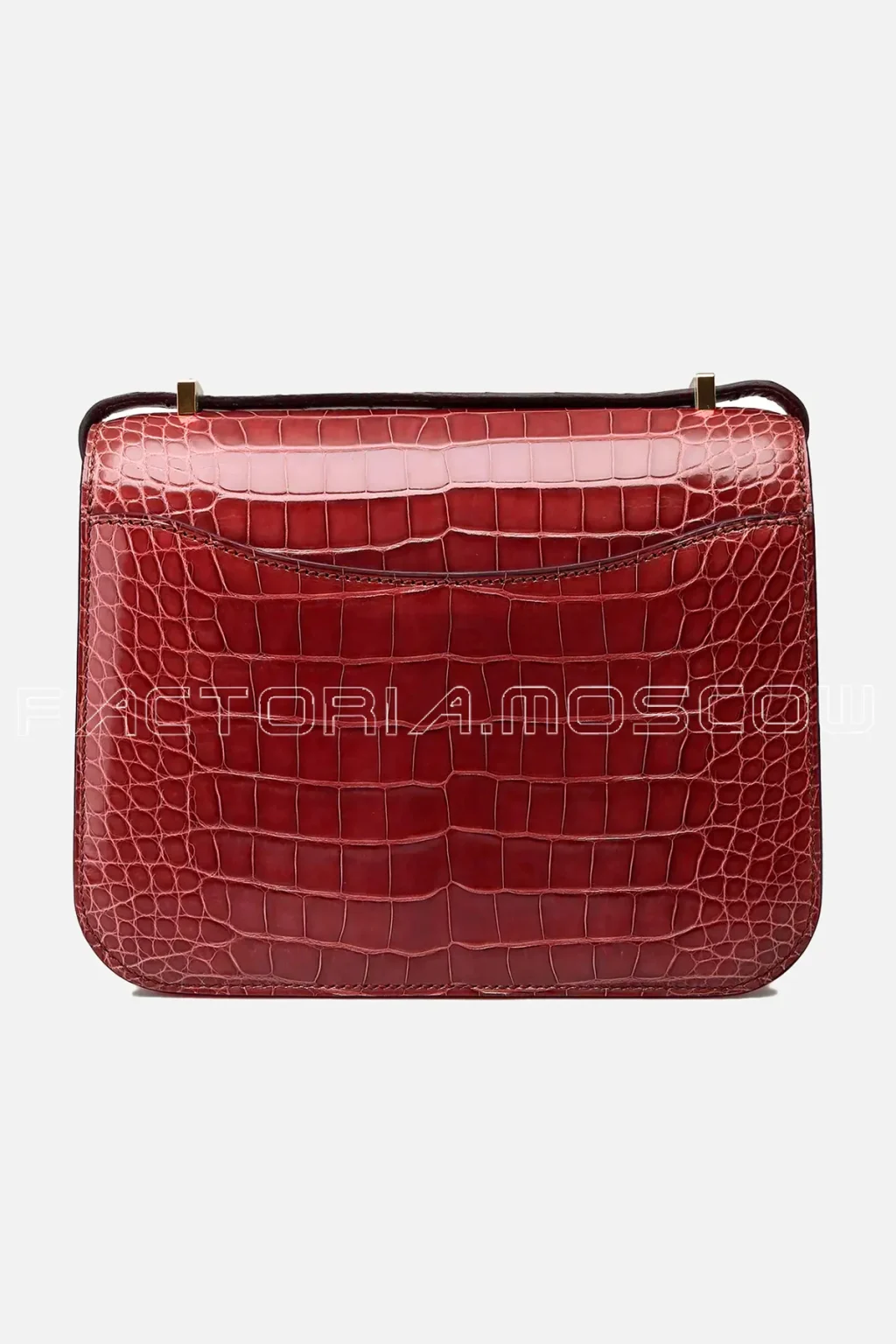 Alligator Lisse