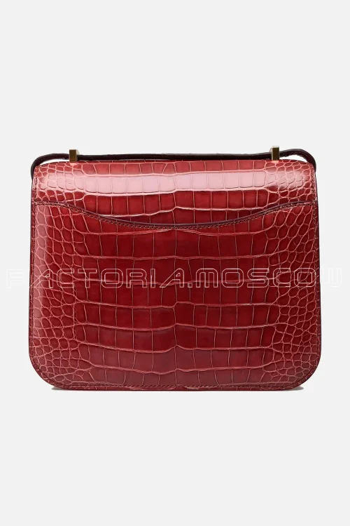 Alligator Lisse