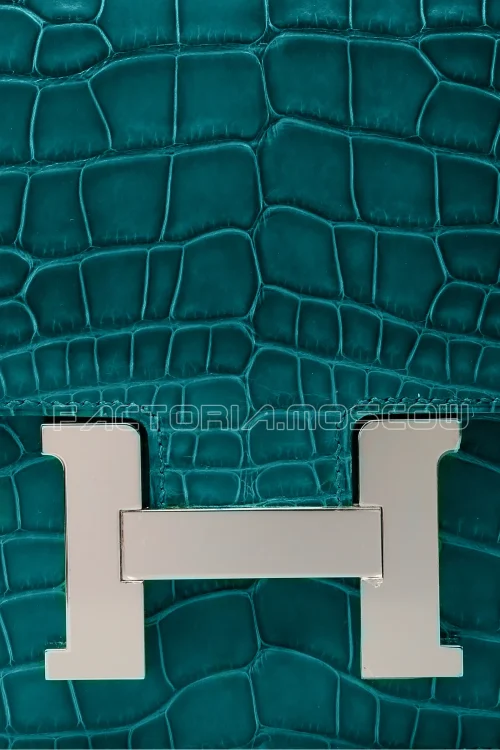 Alligator lisse
