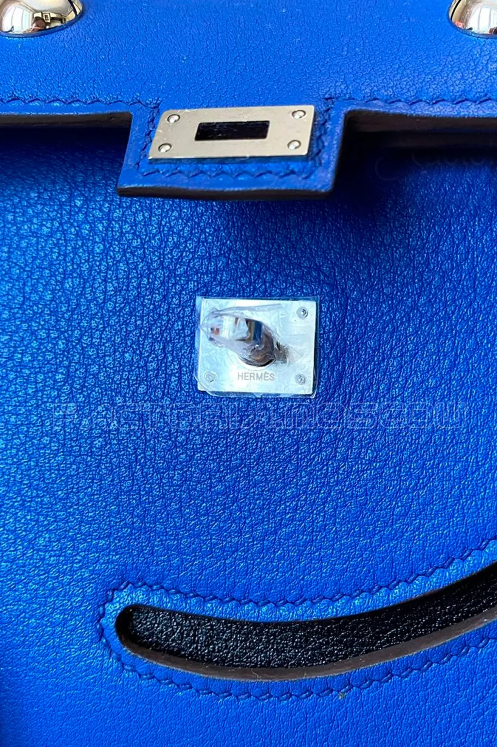 Blue Hydra/Black