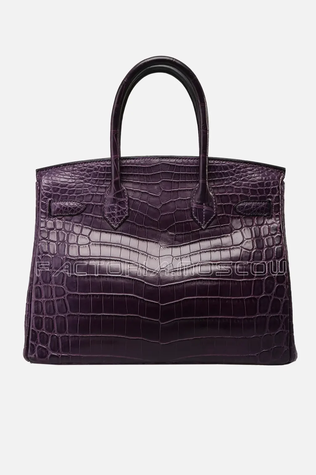 Hermes Birkin 30 Amethyst Niloticus Matte GHW