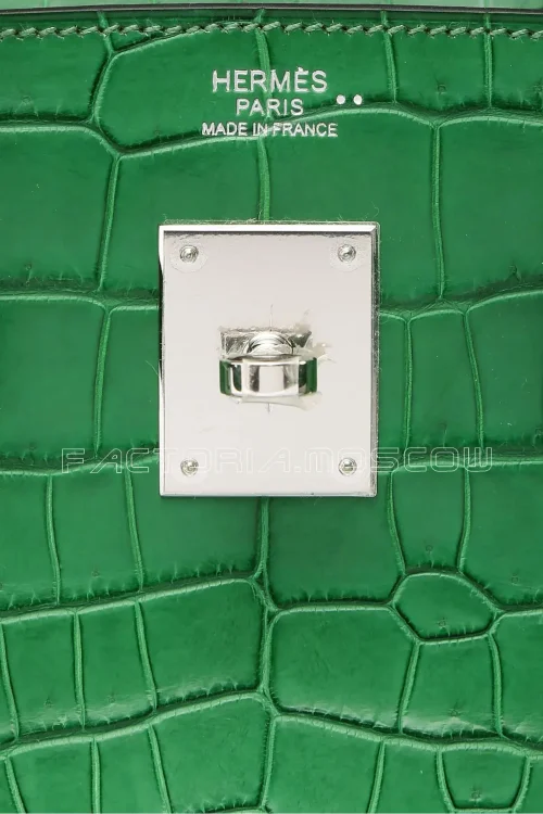 Hermes Birkin 30 Matte Cactus Niloticus PHW