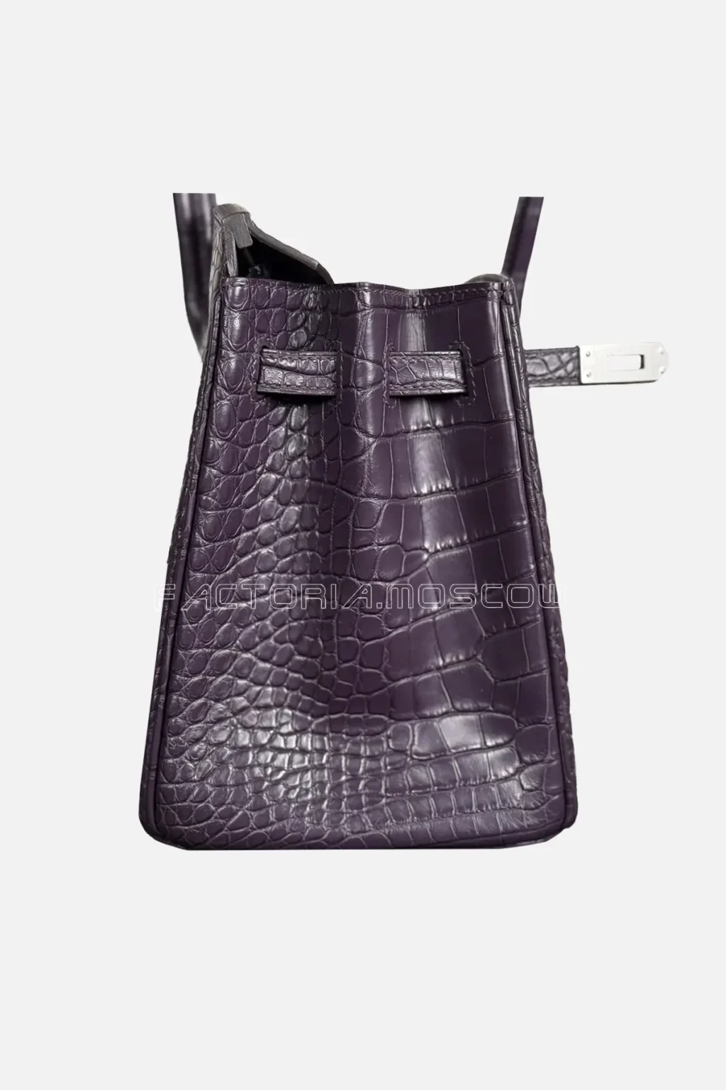 Hermes Birkin 25 Alligator Matte Colour Raisin Hardware PHW