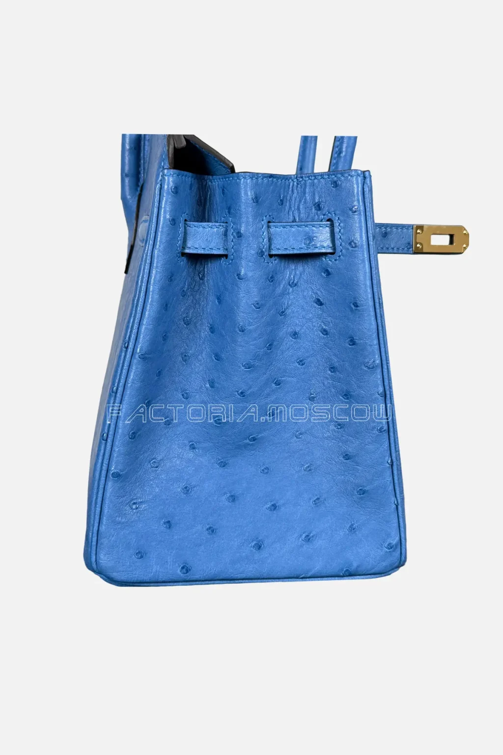 Hermes Birkin 25 Ostrich Colour Blue Zellige Hardware GHW