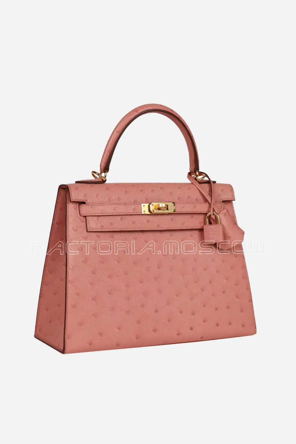 Hermès Kelly Sellier 25 Terre Cuite Ostrich GHW