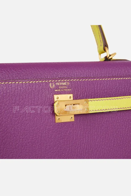 Hermès Special Order (HSS) Kelly Sellier 25 Anemone and Lime Chevre Brushed GHW