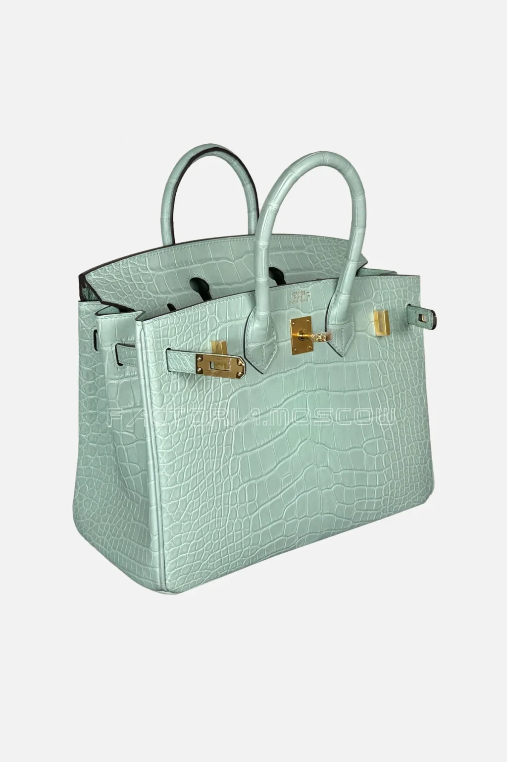 Hermès Birkin 25 Alligator Matte Colour Vert D'Eau Hardware GHW