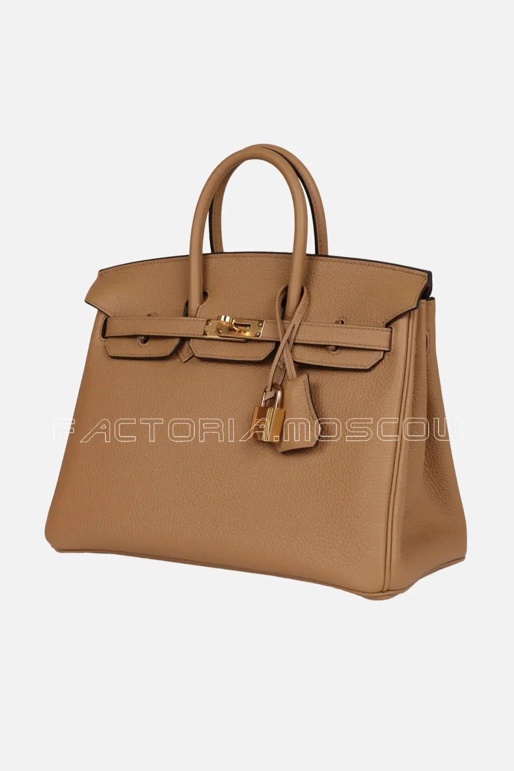 Hermès Birkin 25 Chai Togo GHW