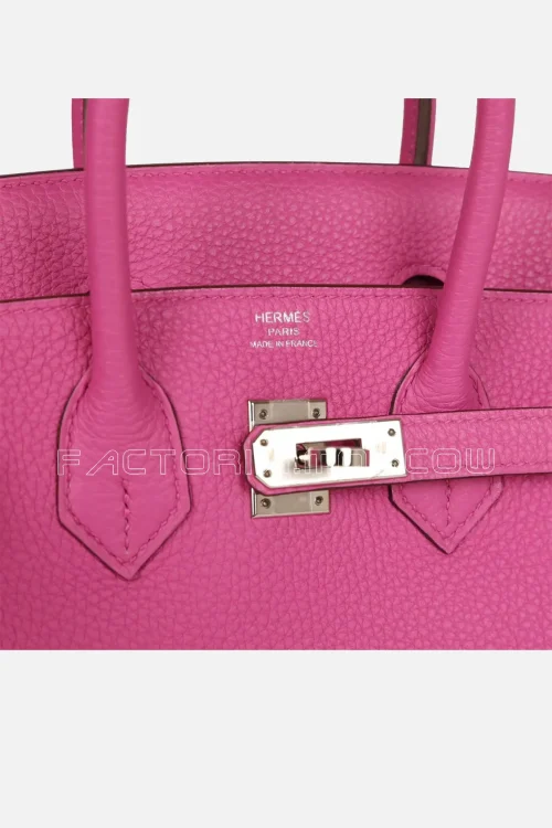 Hermès Birkin 25 Magnolia Togo PHW