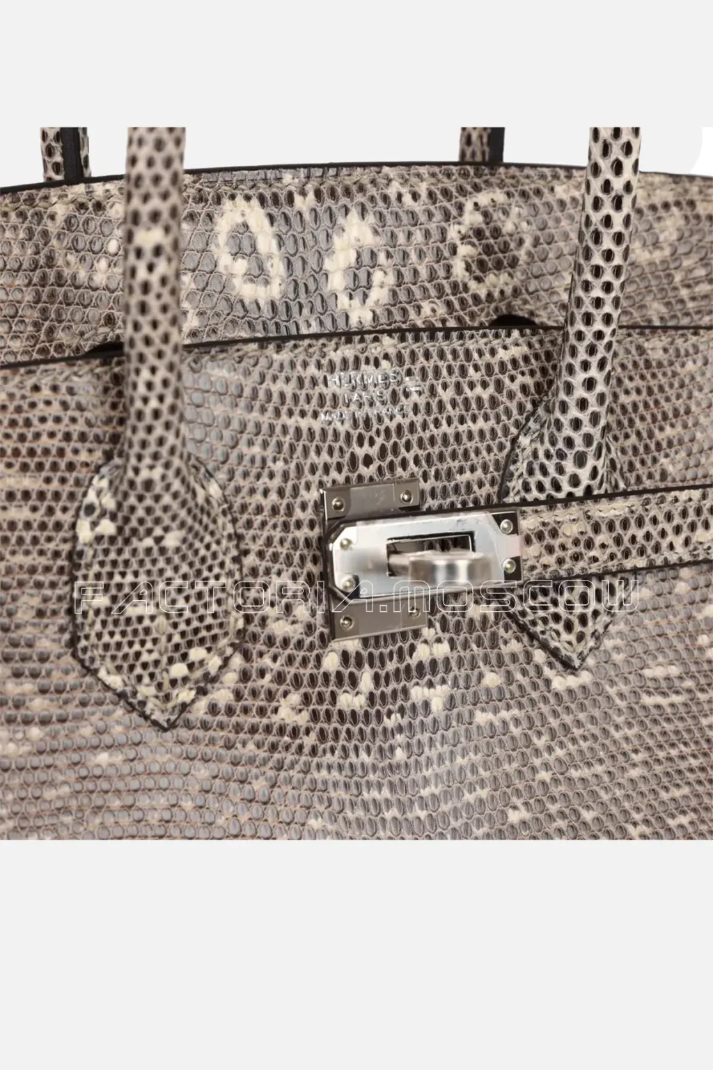 Hermès Birkin 25 Ombre Varanus Salvator Lizard PHW