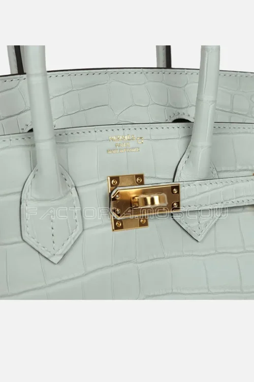 Hermès Birkin 25 Gris Neve Matte Alligator GHW