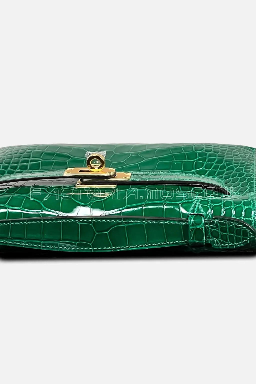 Hermes Kelly Pouchette Alligator Lisse Colour Cactus GHW