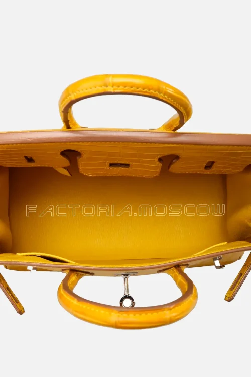 Hermes Birkin 25 Mimosa Matte Niloticus PHW