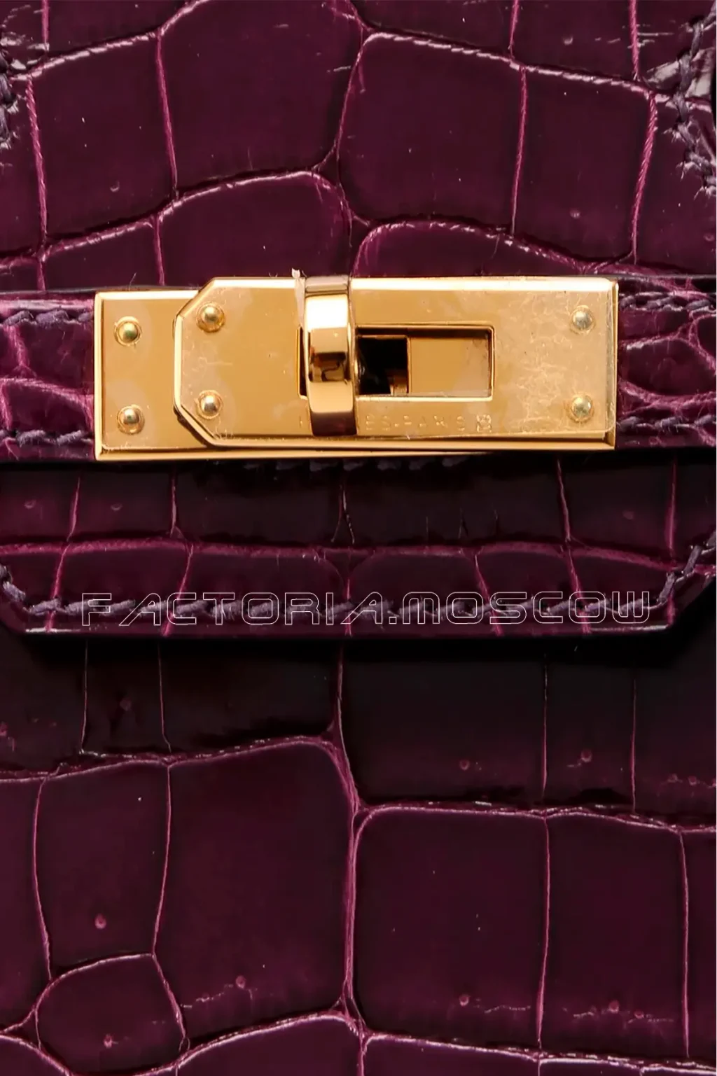 Hermes Birkin 25 Cassis Niloticus GHW