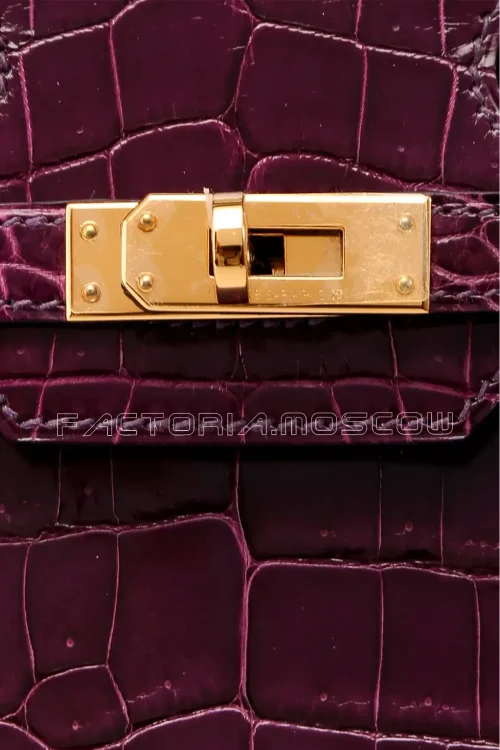 Hermes Birkin 25 Cassis Niloticus GHW