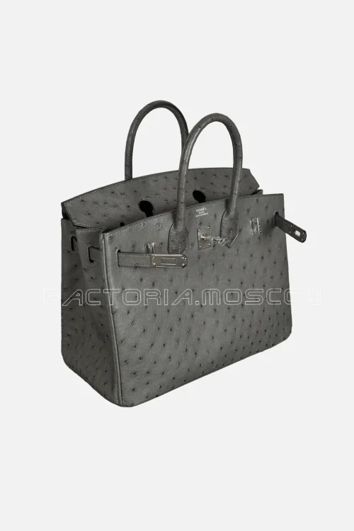 Hermes Birkin 25 Ostrich Colour Gris Etain PHW