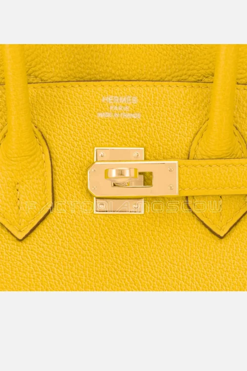 Hermes Birkin 25 Chèvre Colour Jaune De Naples GHW