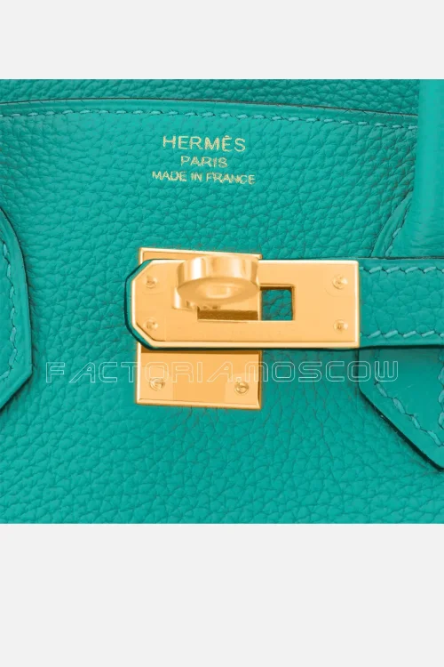 Hermes Birkin 25 Vert Verone Togo GHW