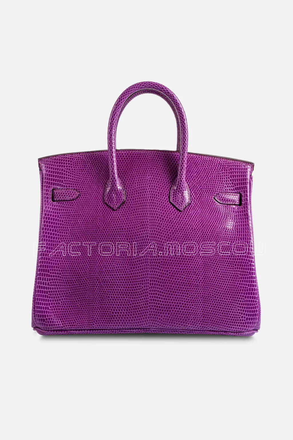 Hermes Birkin 25 Violet Lizard PHW