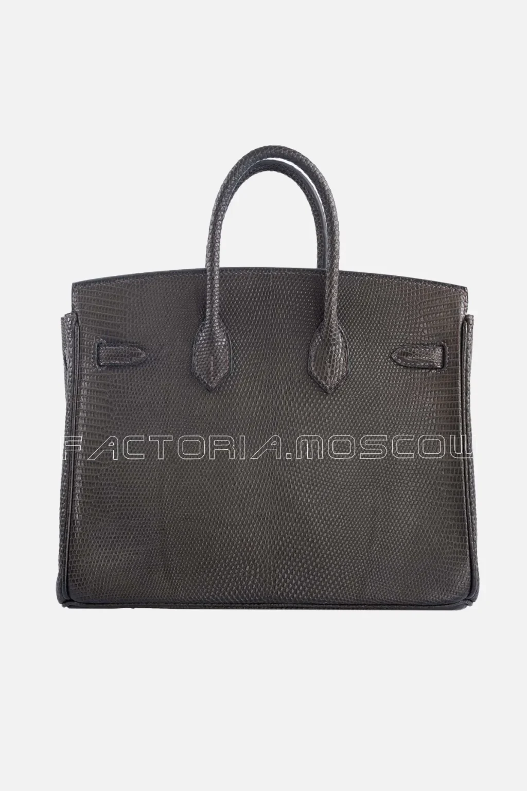 Hermès Birkin 25 Ebene Matte Salvator Lizard GHW