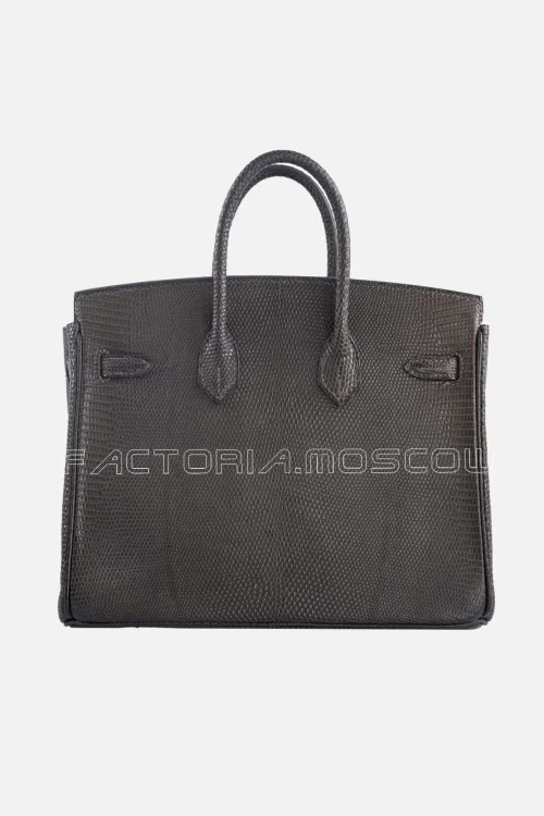 Hermès Birkin 25 Ebene Matte Salvator Lizard GHW