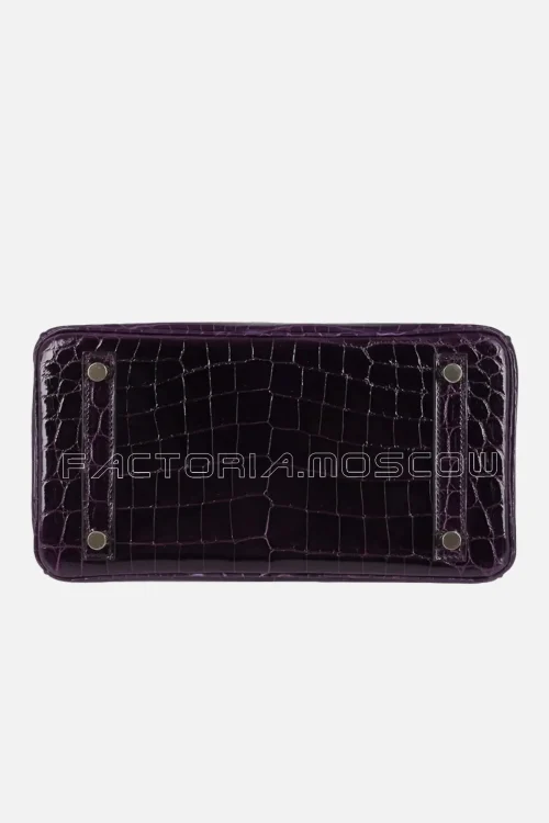 Hermes Birkin 25 Bag Aubergine Niloticus Crocodile GHW