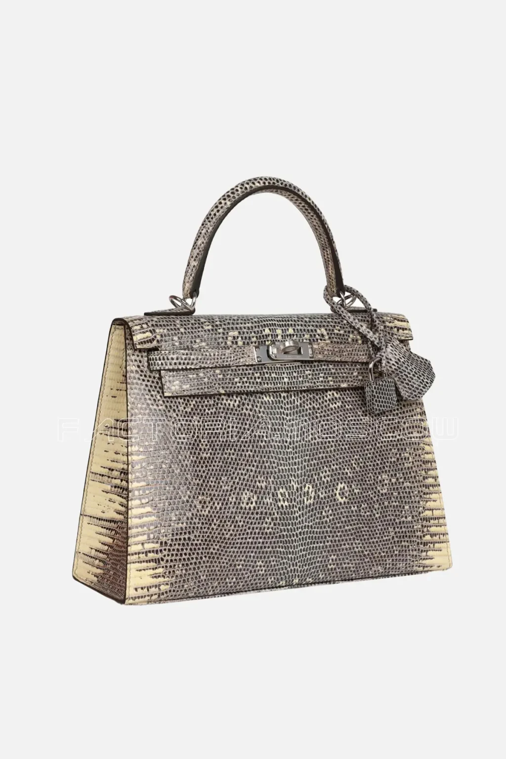 Hermès Kelly Sellier 25 Ombre Varanus Salvator Lizard PHW