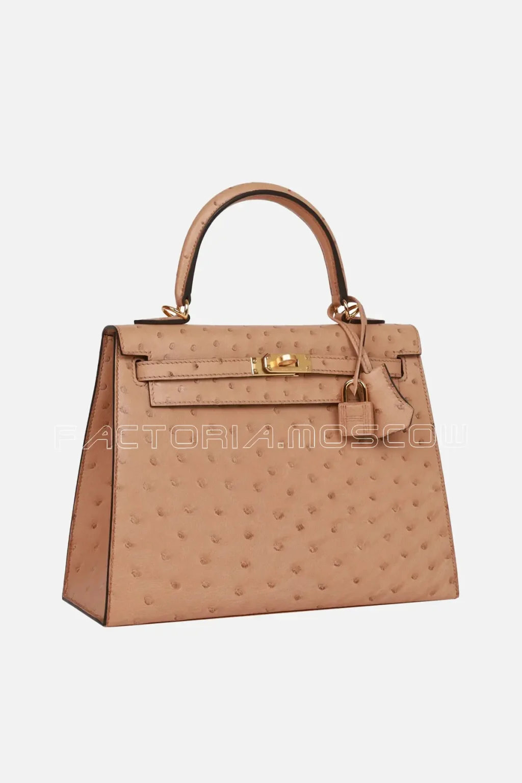 Hermès Kelly Sellier 25 Chai Ostrich GHW