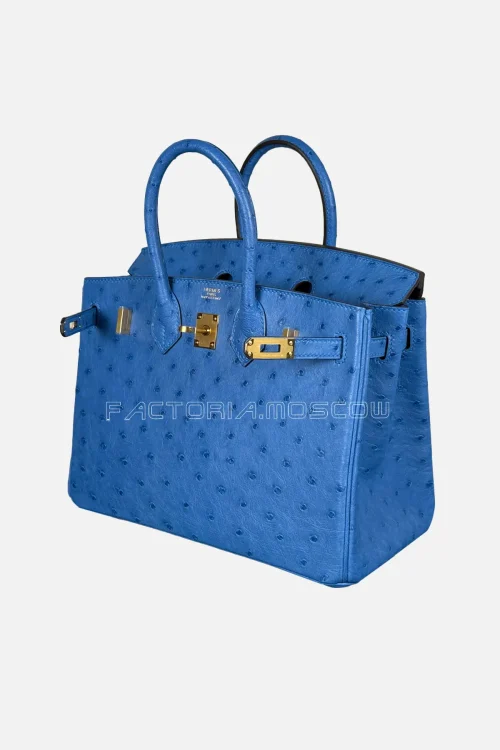 Hermes Birkin 25 Ostrich Colour Blue Zellige Hardware GHW