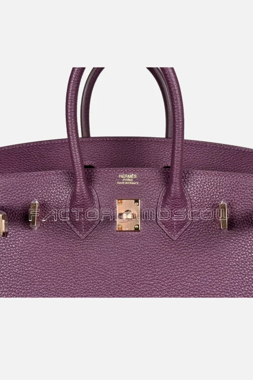 Hermès Birkin 25 Togo Colour Cassis Hardware Rghw
