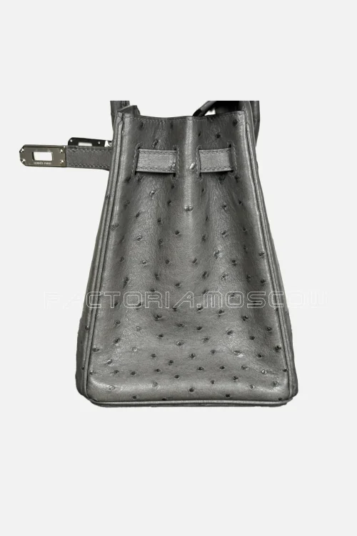 Hermes Birkin 25 Ostrich Colour Gris Etain PHW
