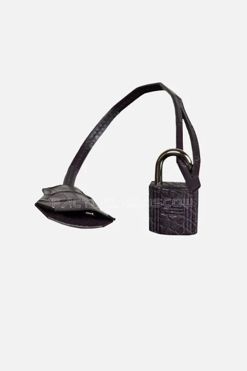 Hermes Birkin 25 Alligator Matte Colour Raisin Hardware PHW