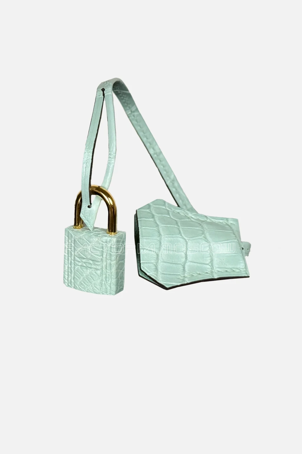 Hermès Birkin 25 Alligator Matte Colour Vert D'Eau Hardware GHW