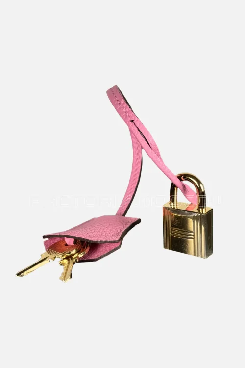 Hermes Birkin 25 Togo Colour 5P Bubblegum GHW