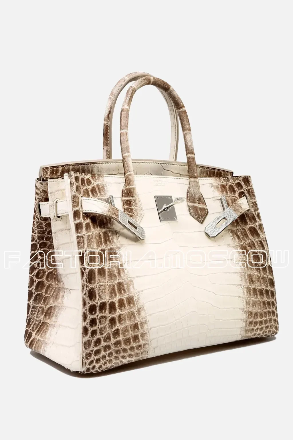 Crocodile Niloticus matte