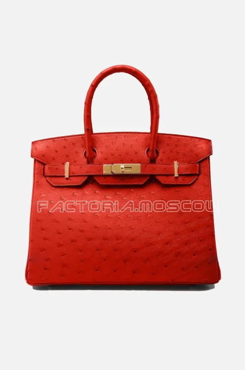 Birkin 30