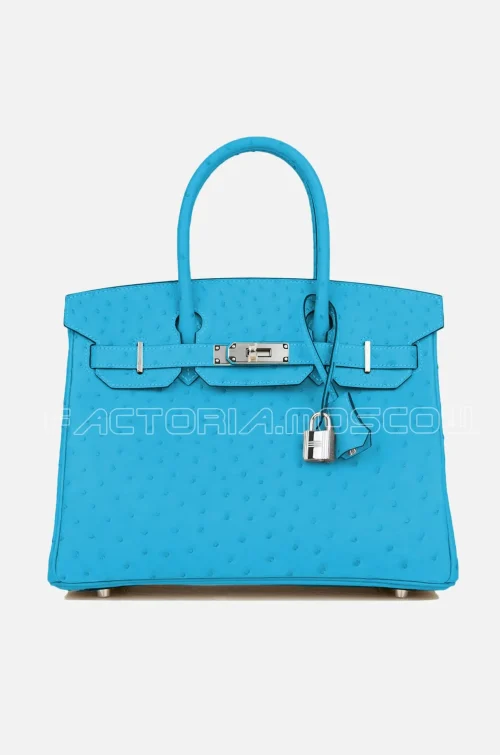 Birkin 30